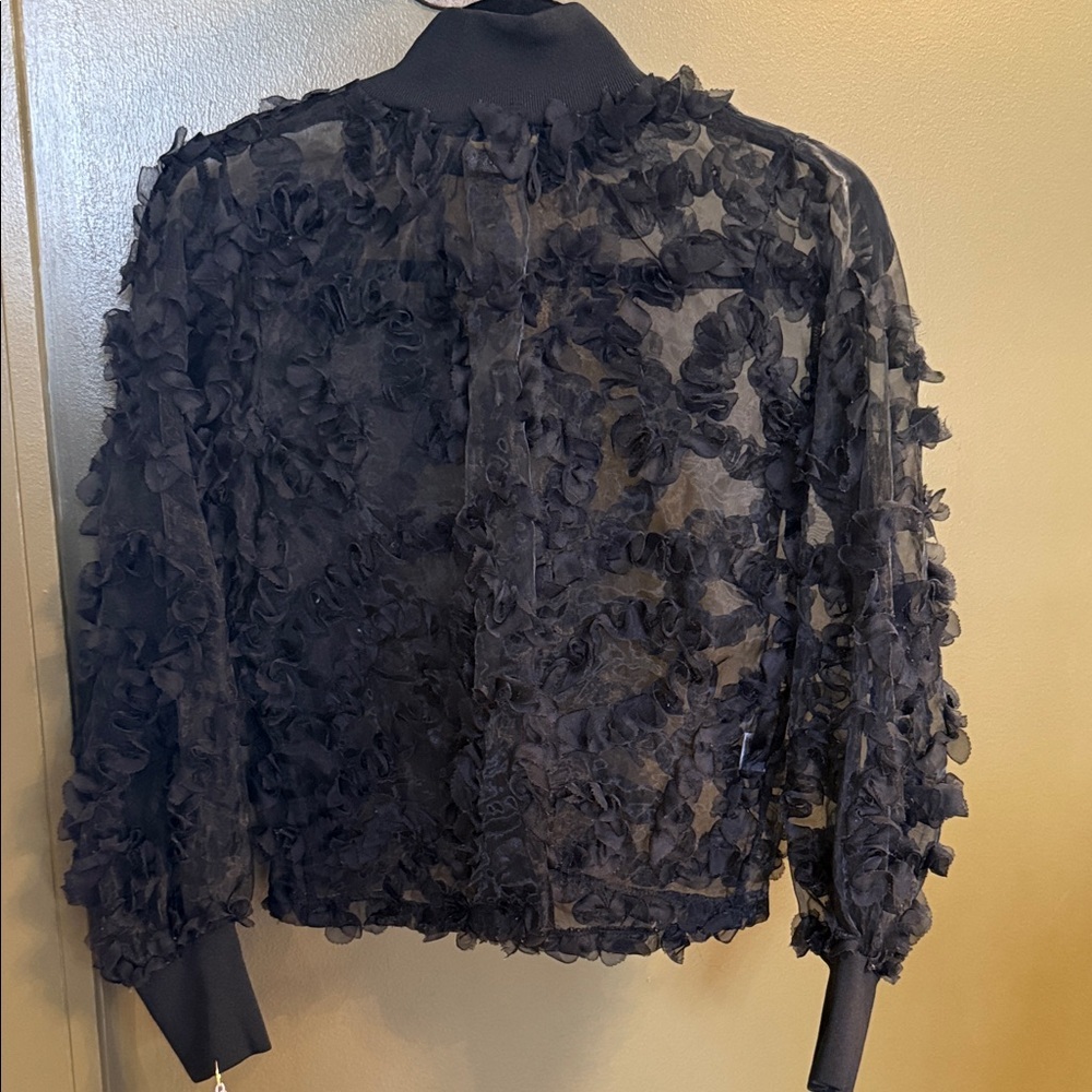Black Sheer Ruffle Blouse